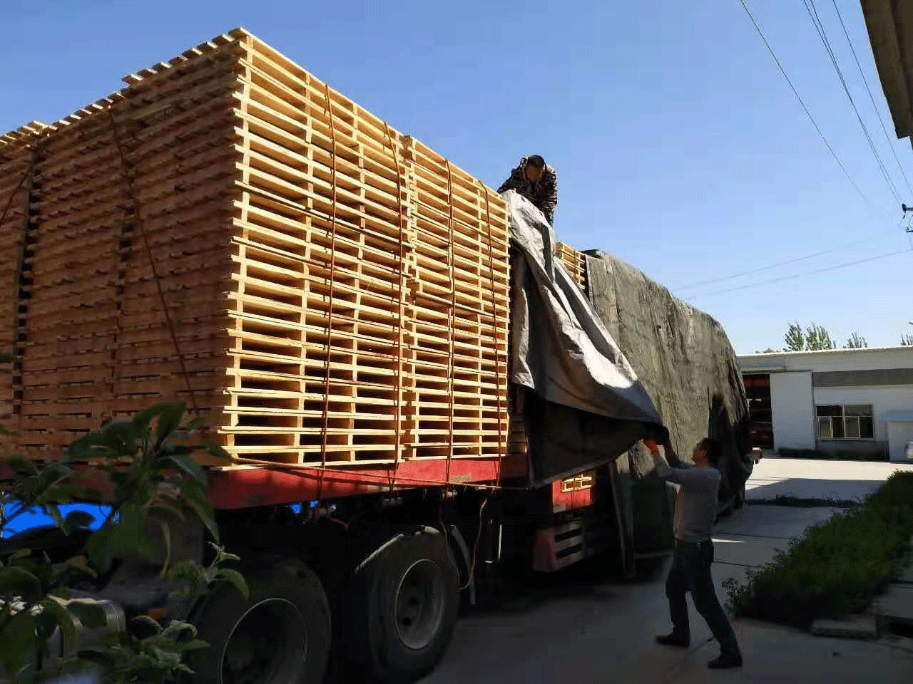 我公司為安徽阜陽某建材公司專屬設計木質托盤